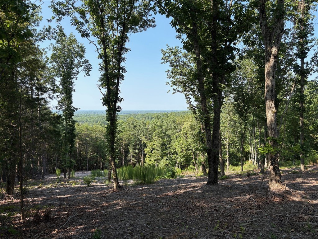 102 Long View Court Pickens, SC 29671 - Photo 13 of 16 View of lot from road
