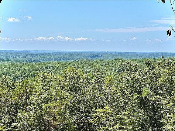 102 Long View Court Pickens, SC 29671 - Photo 3 of 16 View of Clemson University in the distance