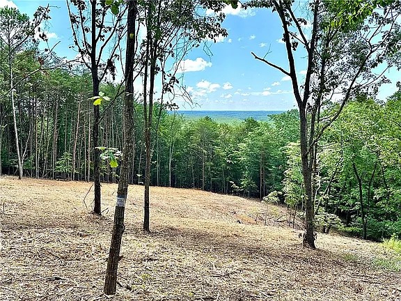 102 Long View Court Pickens, SC 29671 - Photo 8 of 16 Panoramic mountain view