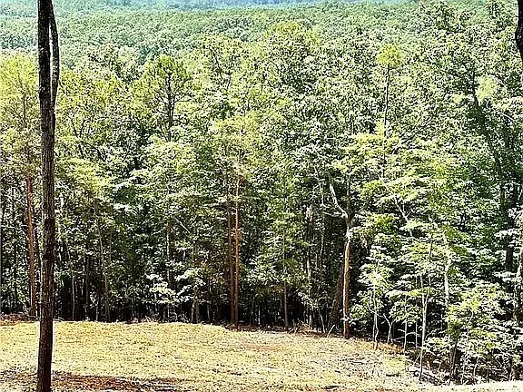 $99,000 | 102 Long View Court, Pickens, SC 29671