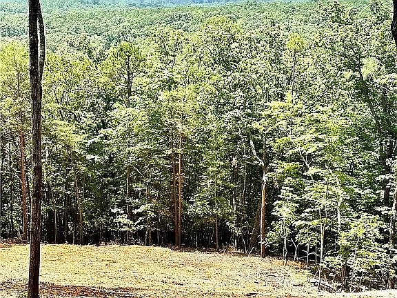 102 Long View Court Pickens, SC 29671 - Photo 10 of 16 Lot is cleared