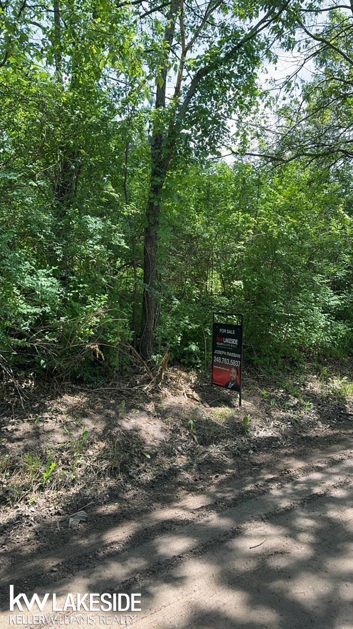 0 Townsend Road Leonard, MI 48367 - Photo 2 of 4
