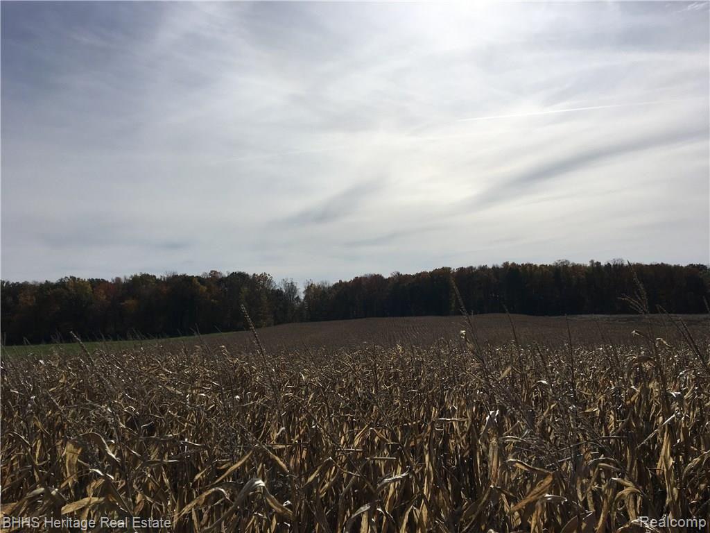 5212 Royce Road Webberville, MI 48892 - Photo 2 of 6