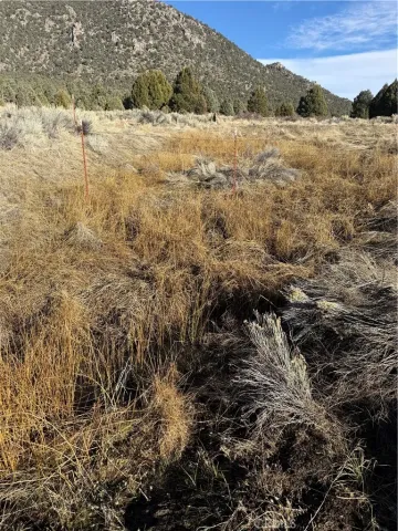 $600,000 | 0 310-190-028 Sacatar Ranch, Inyokern, CA 93527