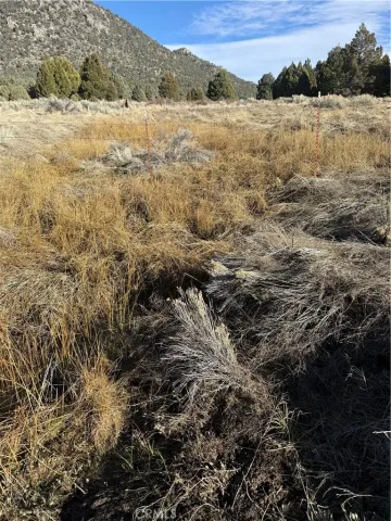 $600,000 | 0 310-190-028 Sacatar Ranch, Inyokern, CA 93527