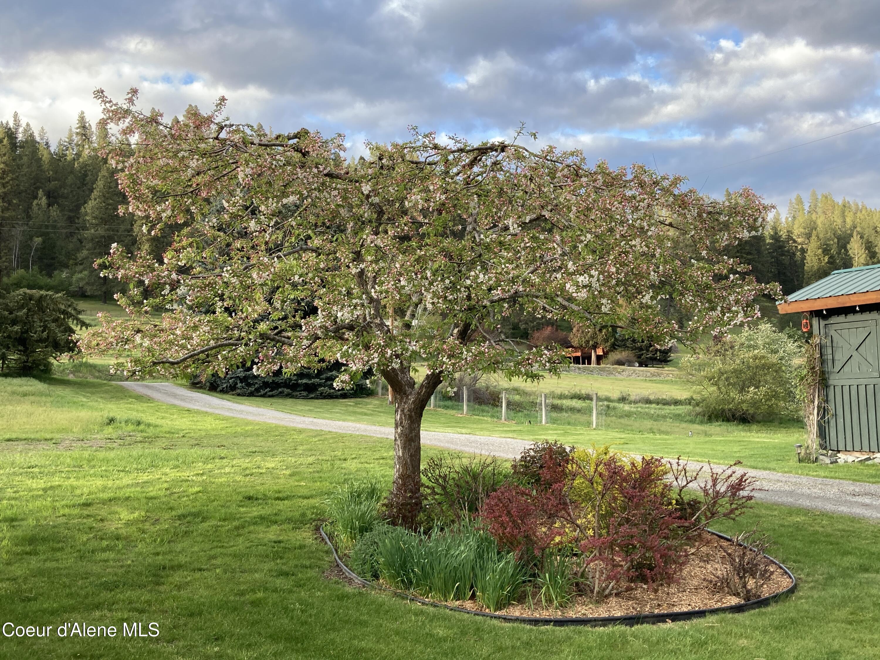 3226 District 2 Road Bonners Ferry, ID 83805 - Photo 85 of 91 Entrance