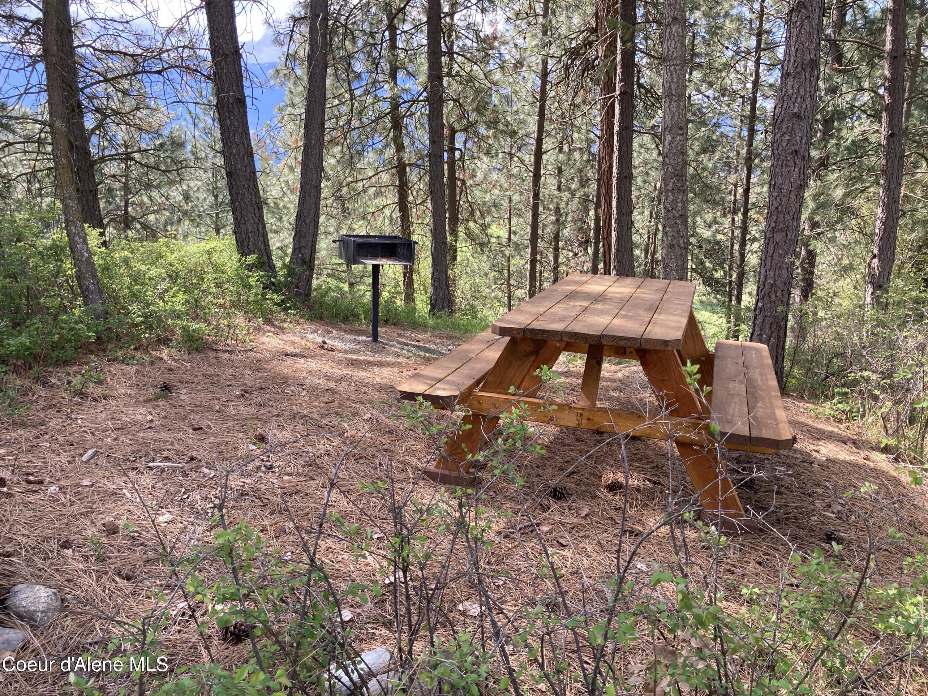 3226 District 2 Road Bonners Ferry, ID 83805 - Photo 87 of 91 Picnic Area