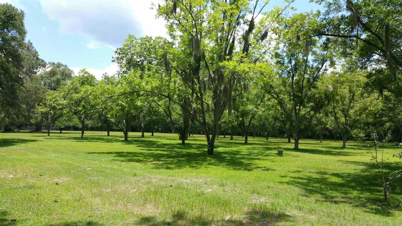 440 Bostick Road Havana, FL 32333 - Photo 19 of 25 Gallery Image 19