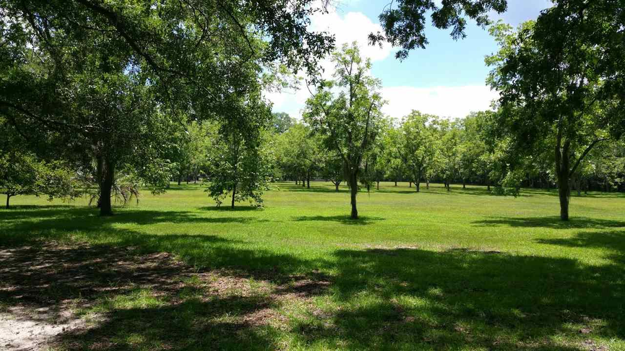 440 Bostick Road Havana, FL 32333 - Photo 20 of 25 Gallery Image 20