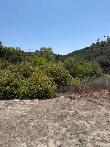a view of a dry yard with trees in the background