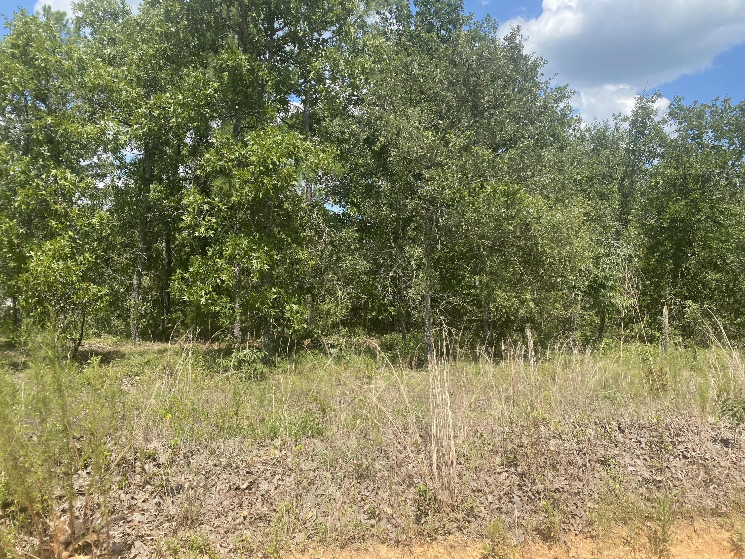 23 North Windsor Road Williston, SC 29853 - Photo 1 of 1