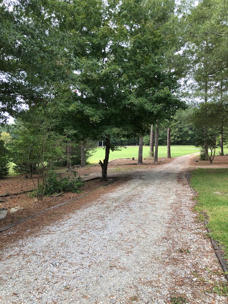 200 Butler Road Hodges, SC 29653 - Photo 2 of 38