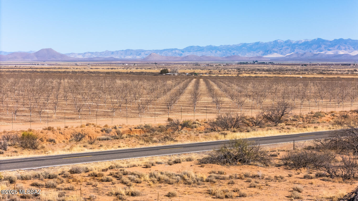 10-acres West Gleeson Road Elfrida, AZ 85610 - Photo 6 of 11