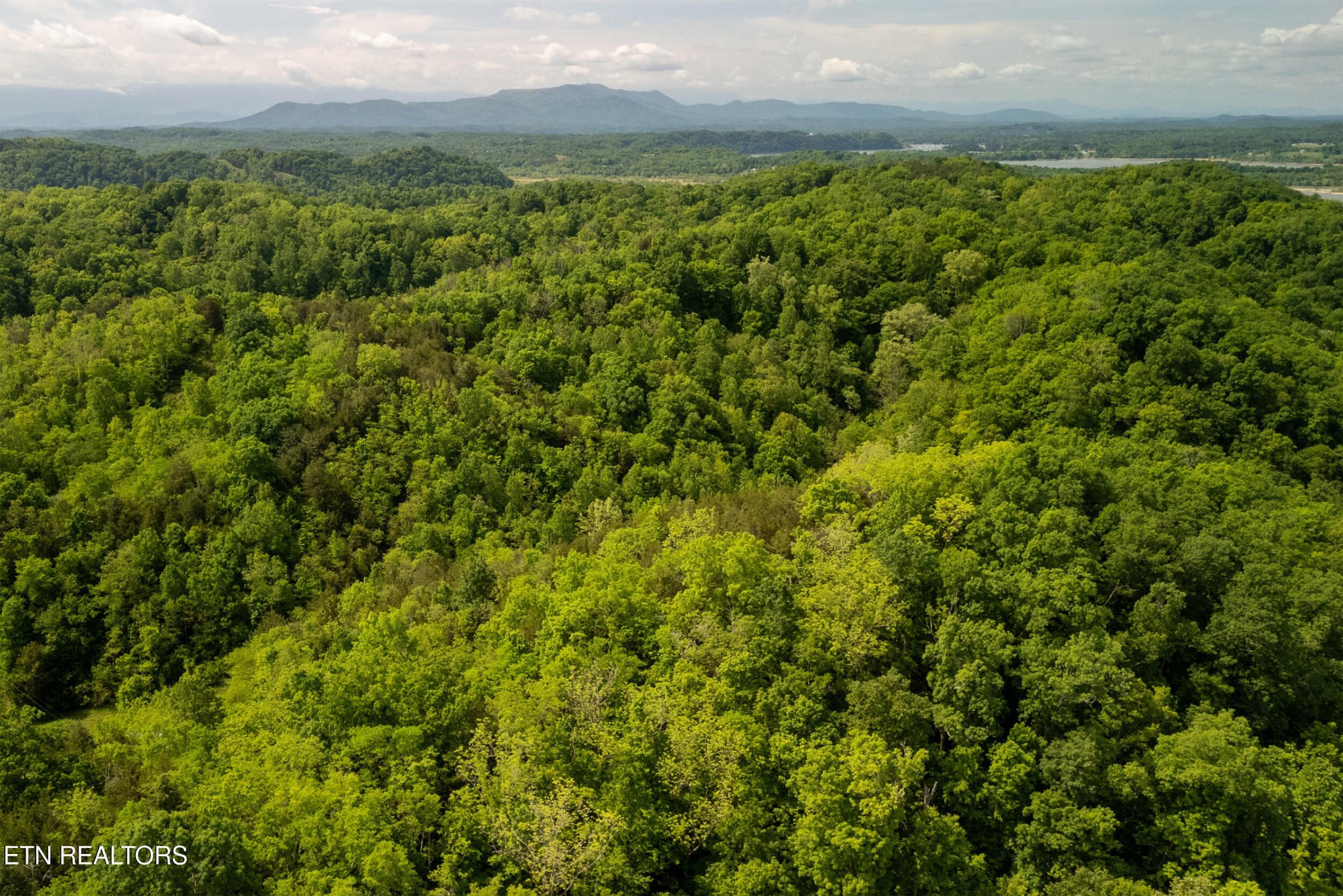 0 Henry Road Newport, TN 37821 - Photo 15 of 27