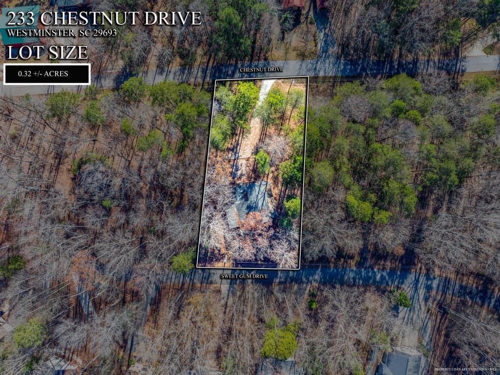 233 Chestnut Drive Westminster, SC 29693 - Photo 38 of 45