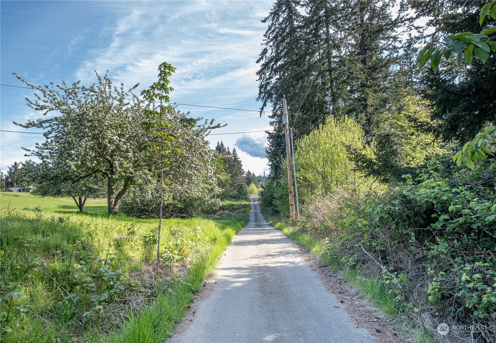 1750 Lancaster Road Freeland, WA 98249 - Photo 8 of 33