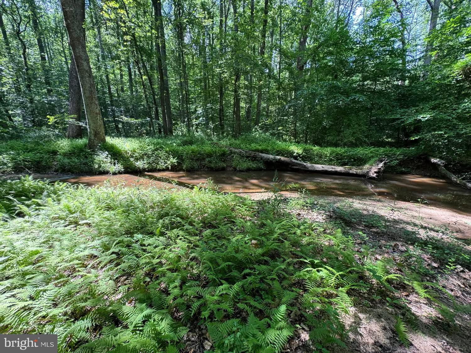 3515 Clayton Road Joppa, MD 21085 - Photo 14 of 45