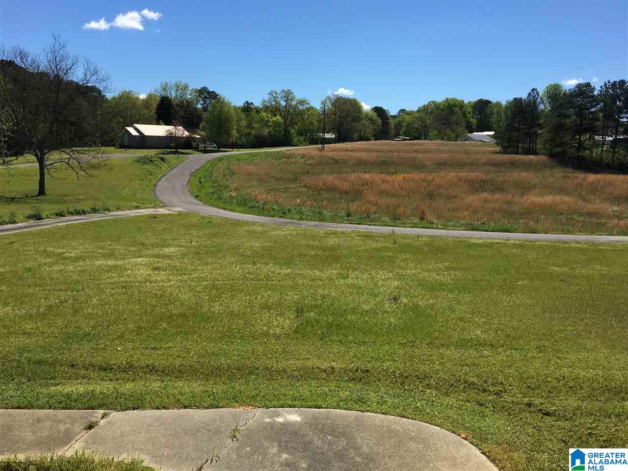 4615 Barrett Road Dora, AL 35062 - Photo 3 of 3