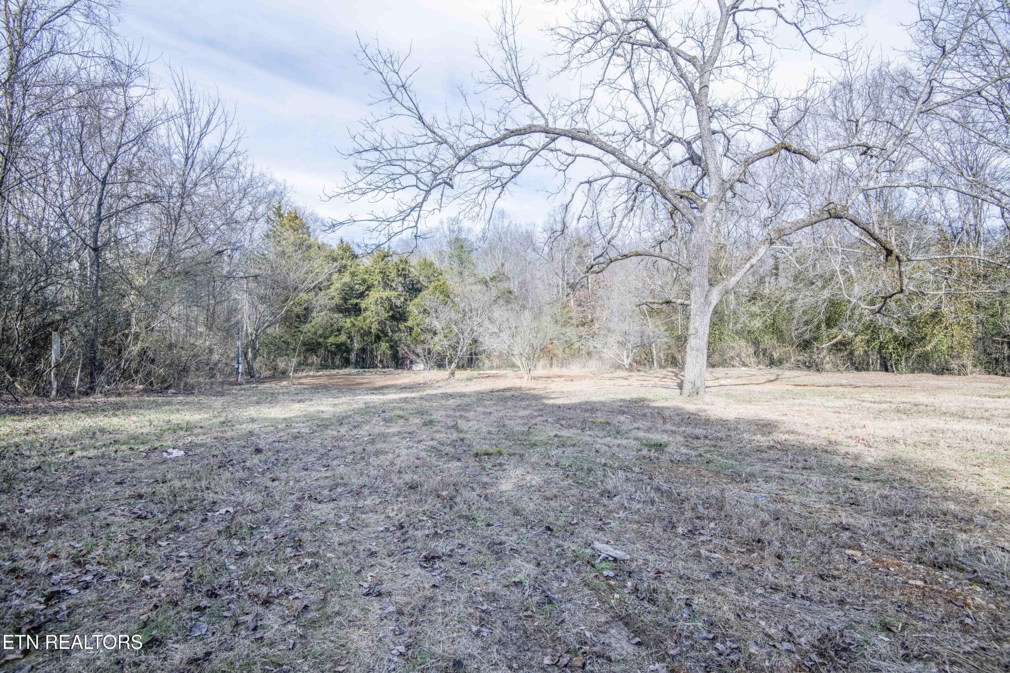 6223 Babelay Road Knoxville, TN 37924 - Photo 45 of 53 a view of large trees with yard