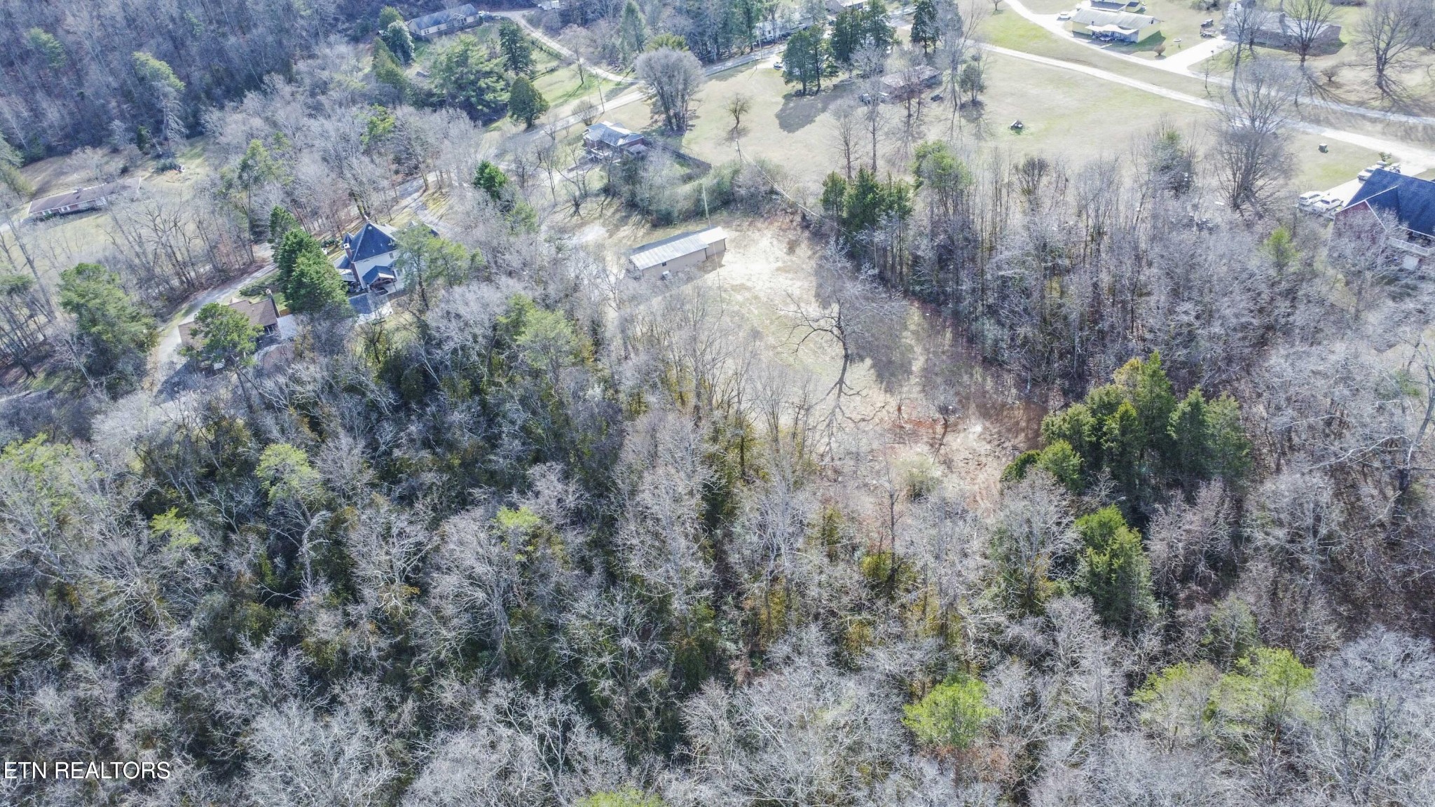 6223 Babelay Road Knoxville, TN 37924 - Photo 49 of 53 a view of a forest with a tree