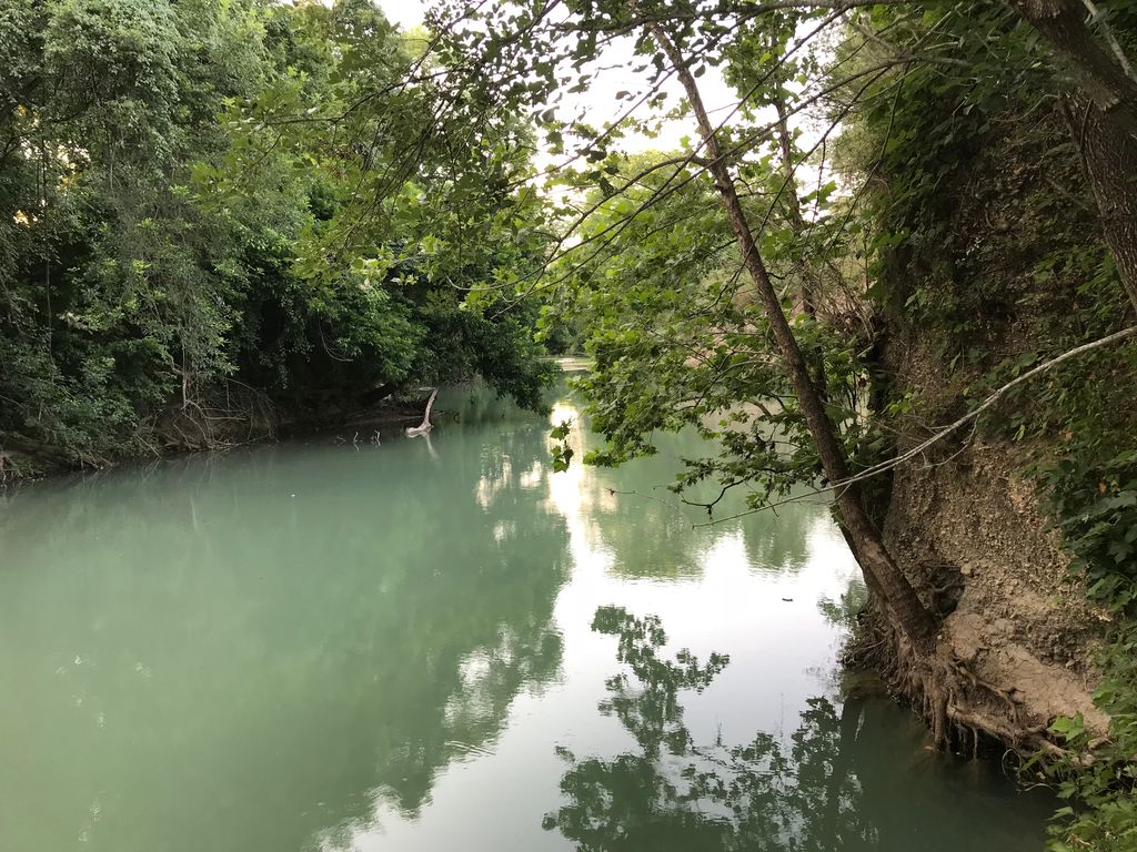 1512 River Grove Road, Unit A Kingsbury, TX 78638 - Photo 17 of 35 Water view with a heavily wooded area