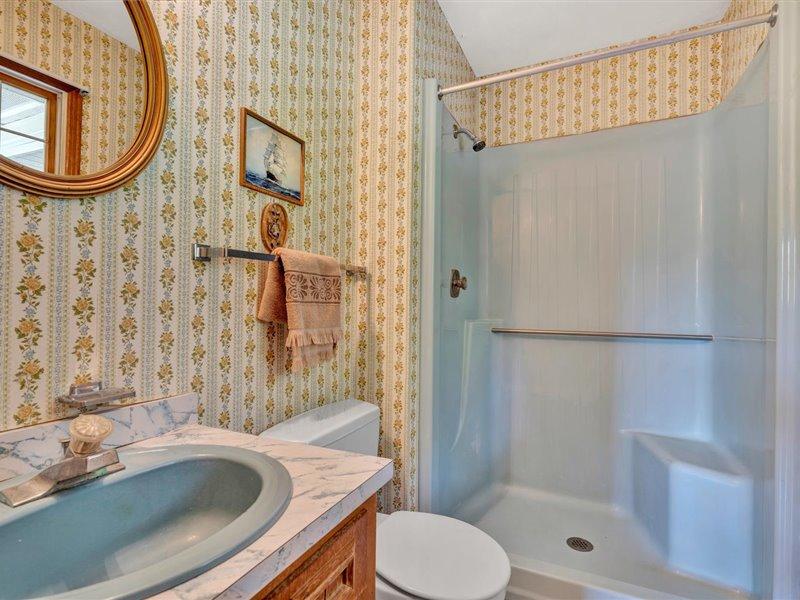 249 Zimmerman Road Blue Ridge, VA 24064 - Photo 23 of 33 a bathroom with a sink a toilet and shower