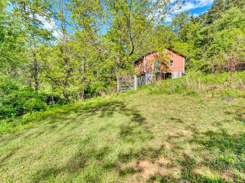 249 Zimmerman Road Blue Ridge, VA 24064 - Photo 30 of 33 a backyard of a house with table and chairs