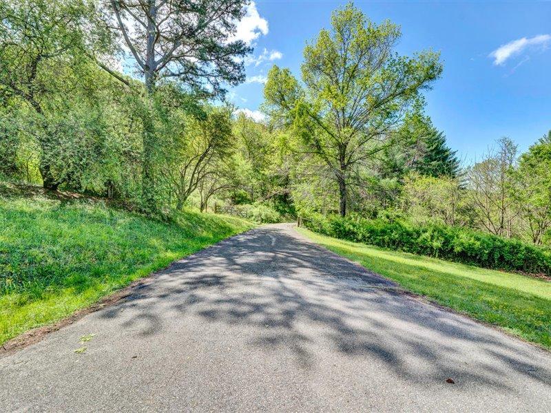 249 Zimmerman Road Blue Ridge, VA 24064 - Photo 32 of 33 a view of a yard with a tree