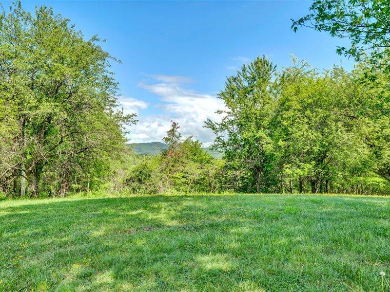 249 Zimmerman Road Blue Ridge, VA 24064 - Photo 5 of 33 a view of garden view