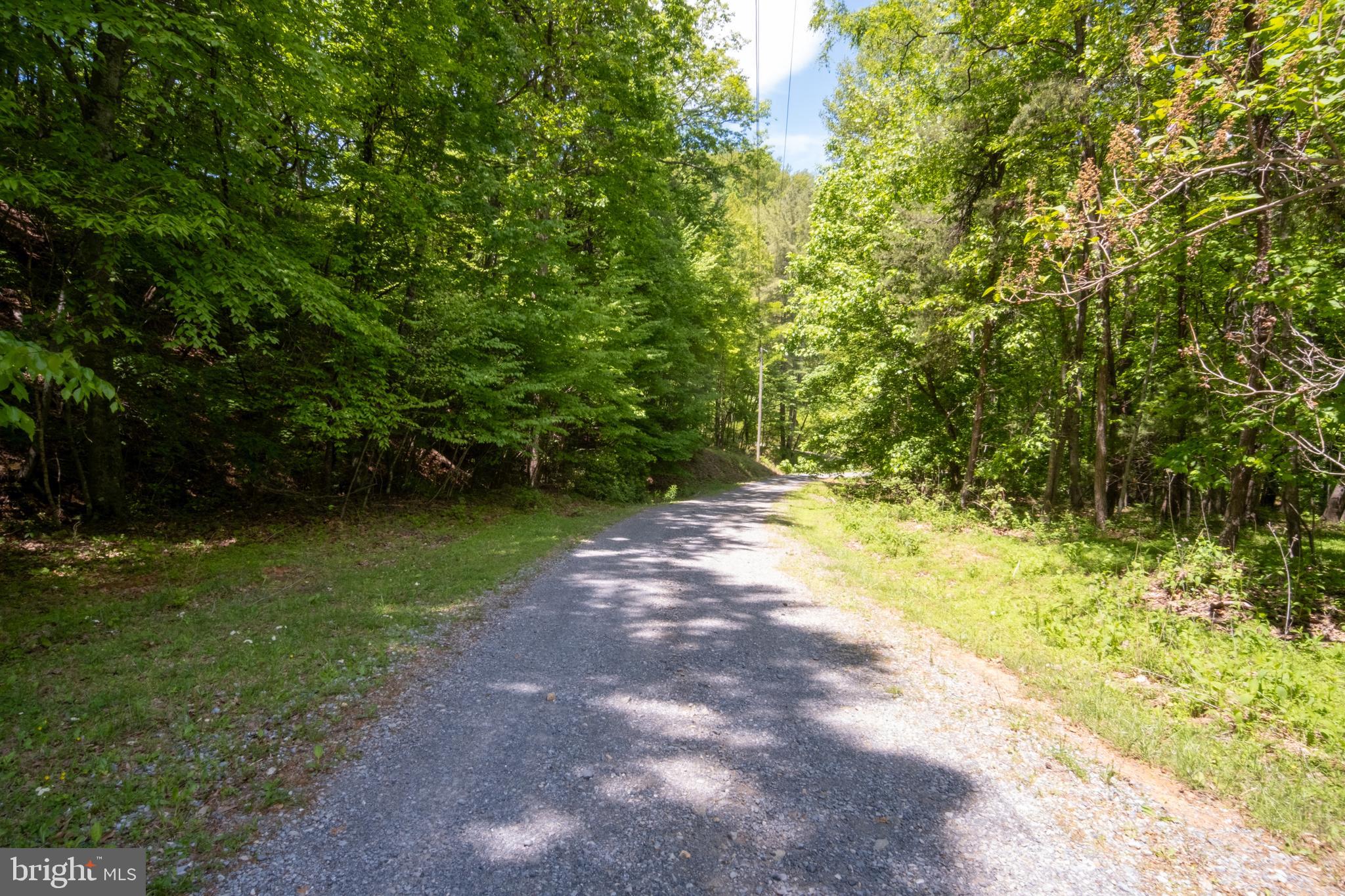 52-53 Audrey Lane Blue Ridge, VA 24064 - Photo 20 of 43 a view of a yard with plants and large trees