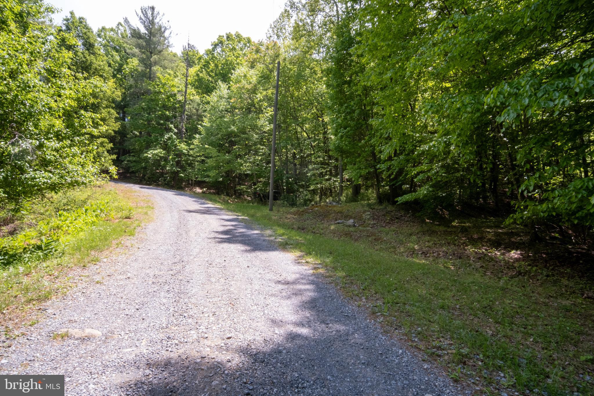 52-53 Audrey Lane Blue Ridge, VA 24064 - Photo 22 of 43 a view of a dirt pathway both side of yard