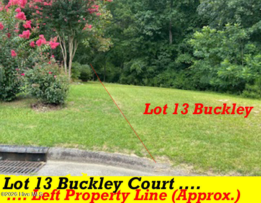 13 Buckley Court Whispering Pines, NC 28327 - Photo 4 of 4 13 BuckleyCourtFrontLotPic2