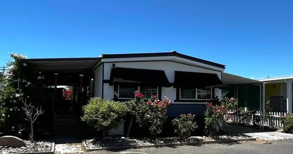 front view of a house with a tree