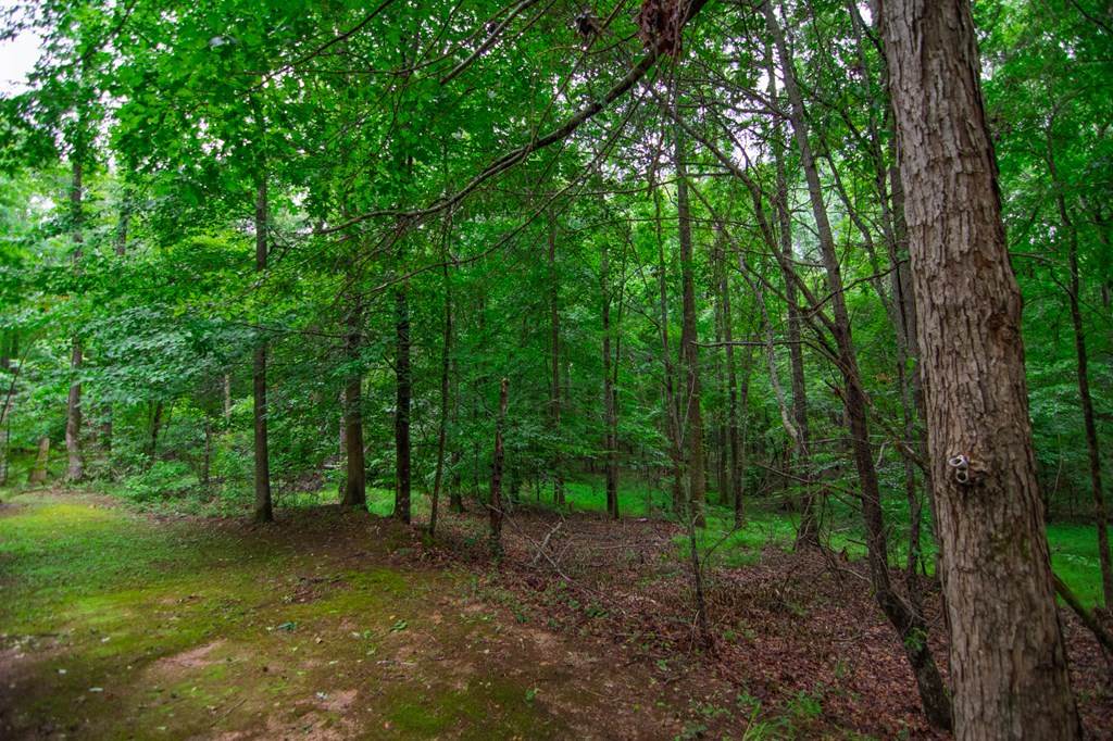 8639 Lower Blue Springs Road Fortson, GA 31808 - Photo 46 of 47 Gallery Image 46