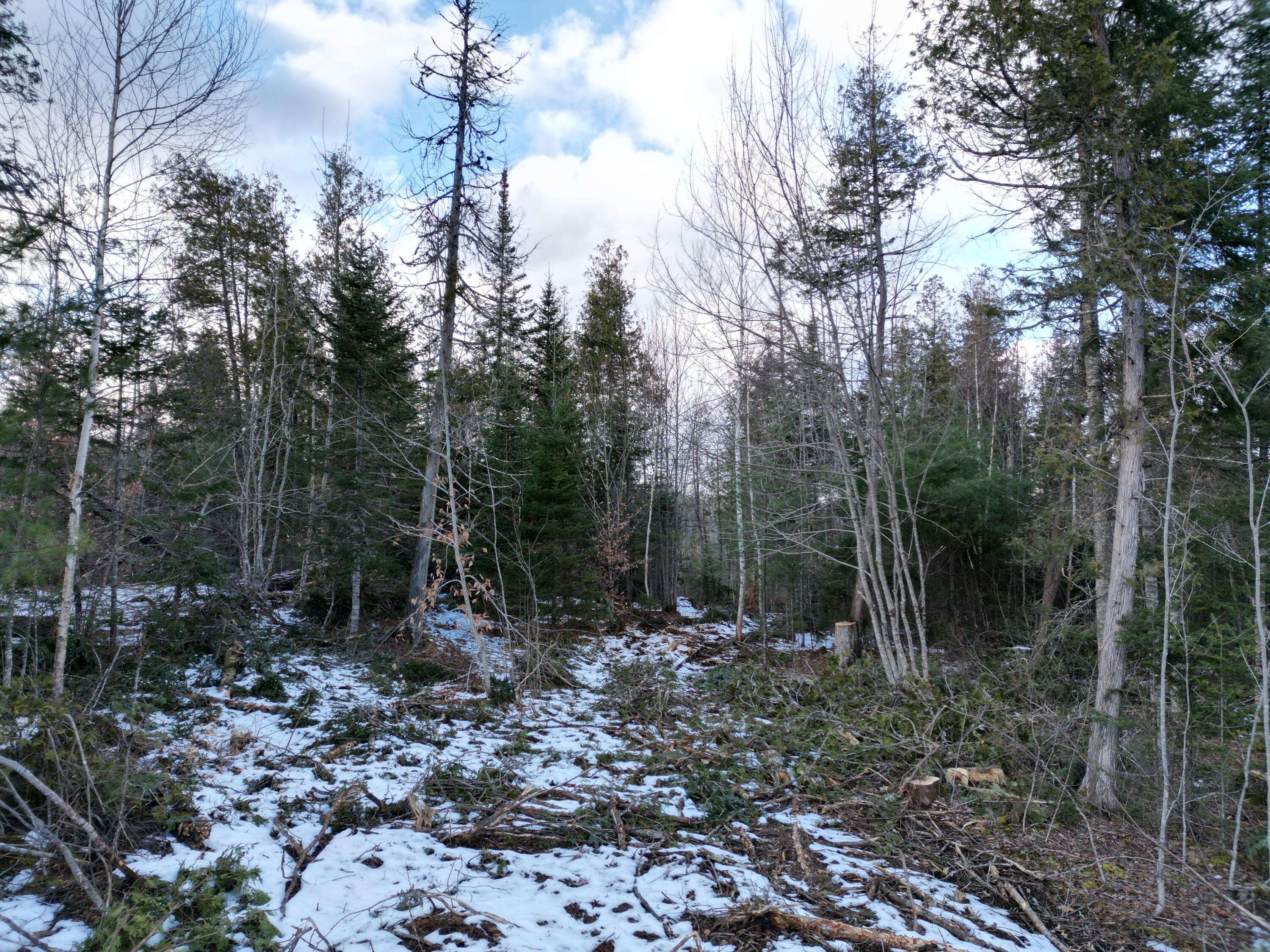 20 River Road Howland, ME 04448 - Photo 14 of 20 DJI_0380