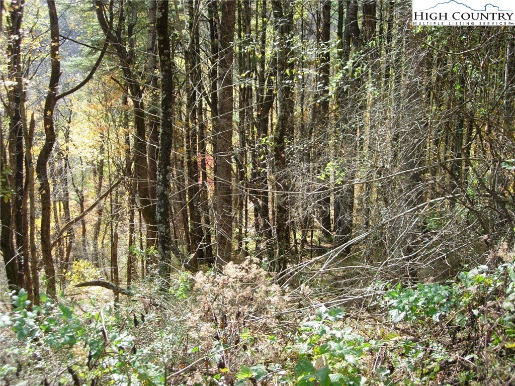 7 Sally Street Boone, NC 28607 - Photo 6 of 10