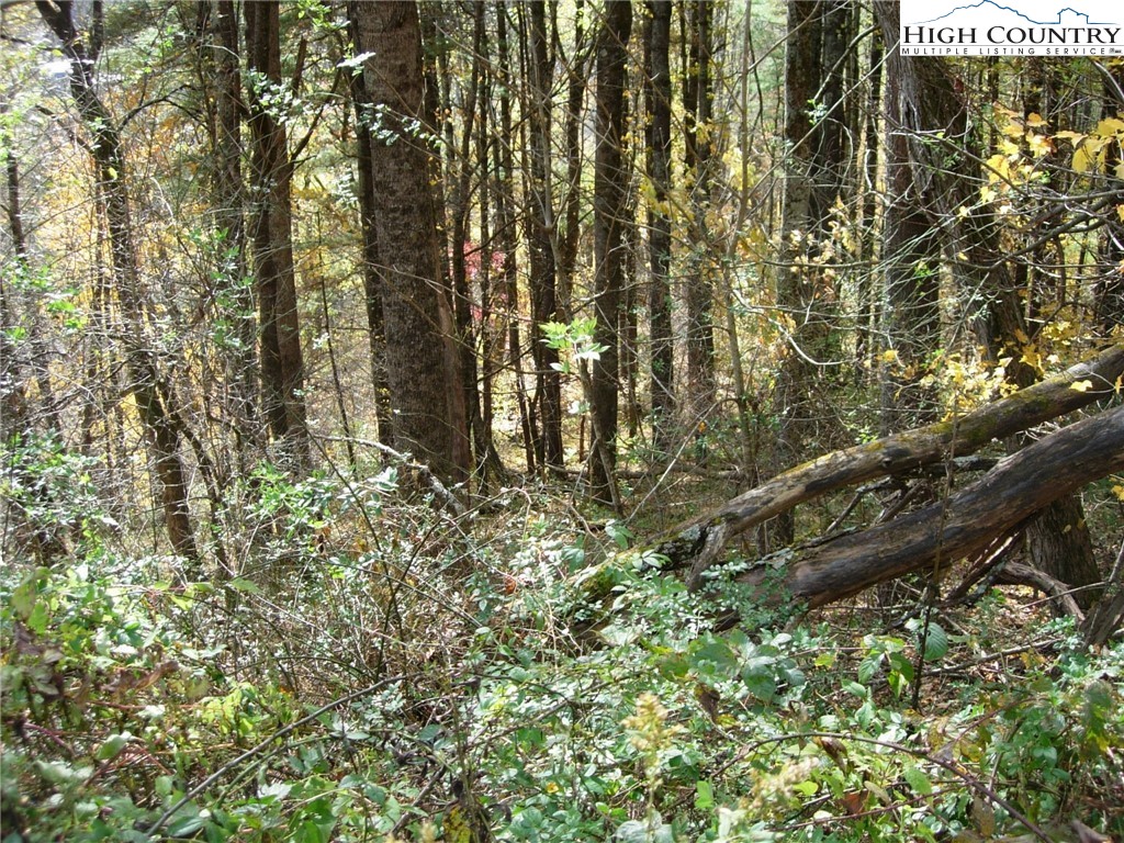 7 Sally Street Boone, NC 28607 - Photo 7 of 10
