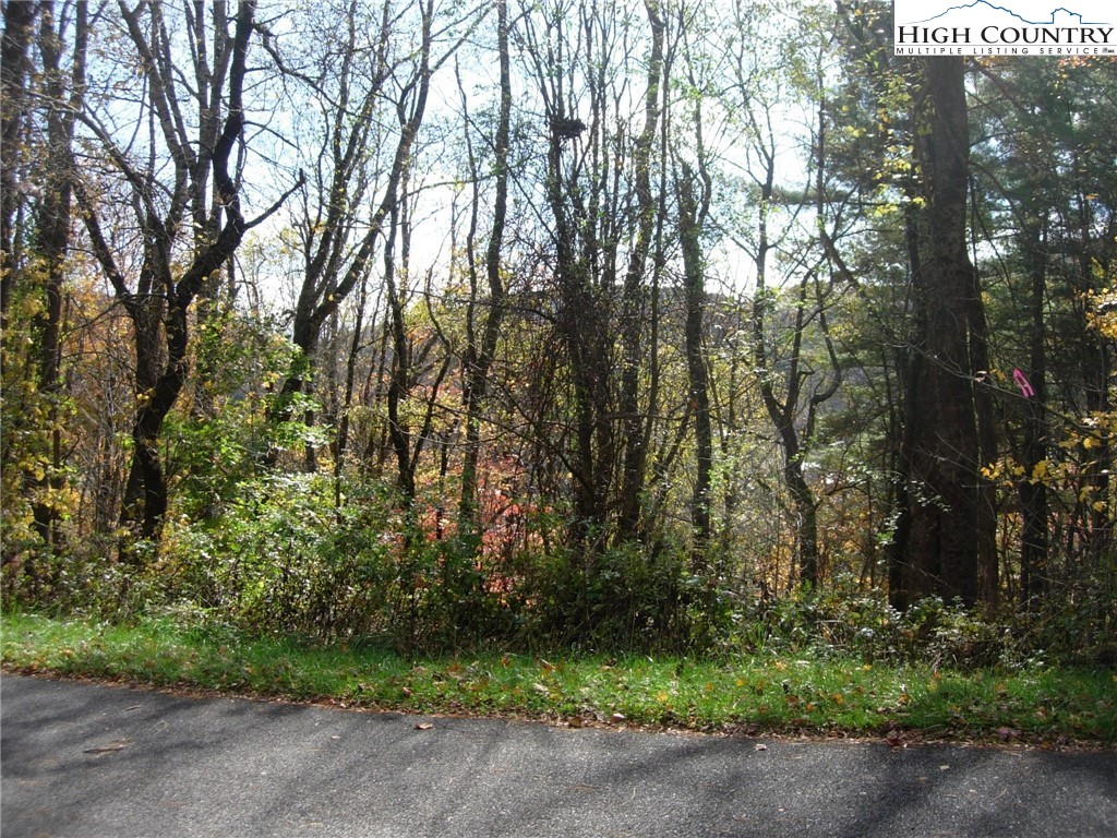 7 Sally Street Boone, NC 28607 - Photo 8 of 10