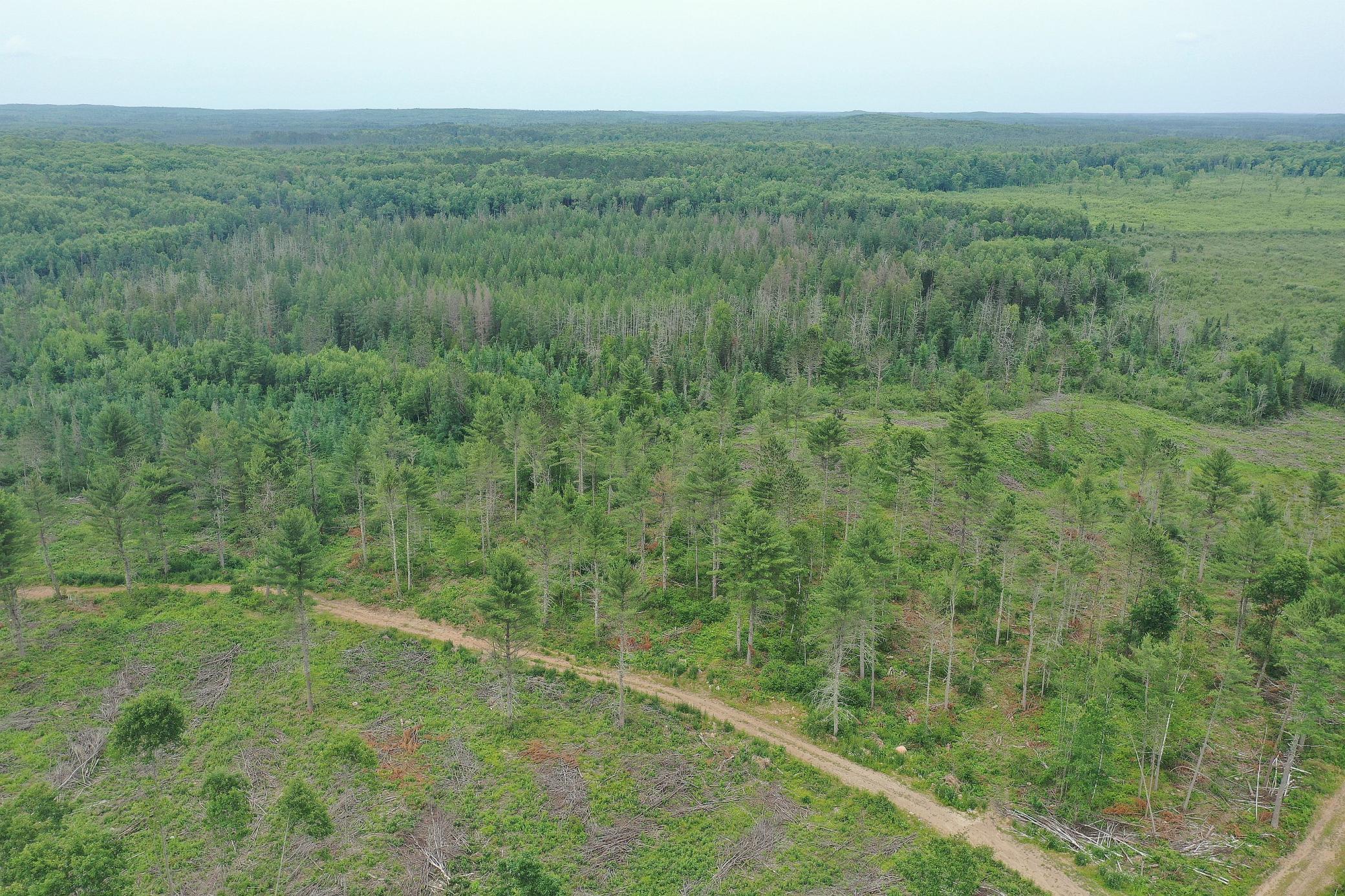 Tbd North Larsen Road Hayward, WI 54843 - Photo 29 of 33