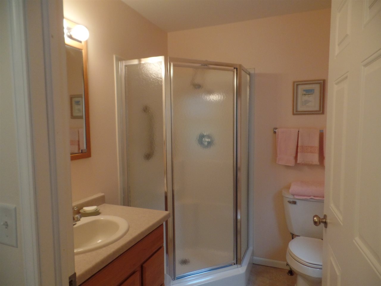 419 Elizabeth Road Oregon, IL 61061 - Photo 13 of 13 a bathroom with a sink toilet and shower