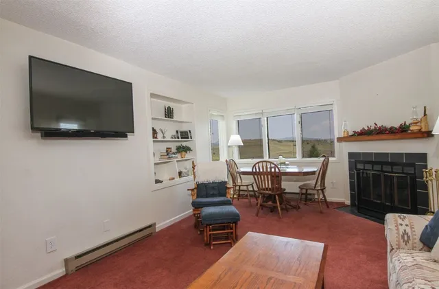 a living room with furniture a flat screen tv and a fireplace