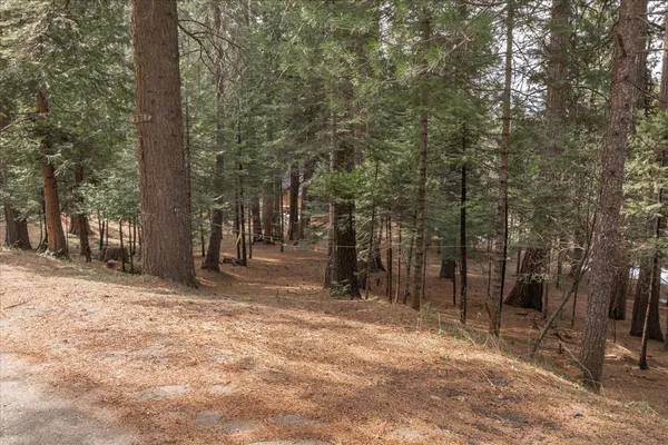 a view of a field with trees in front of it