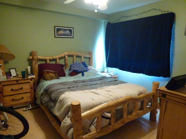 150 Evergreen Road, Unit 205 Dillon, CO 80435 - Photo 9 of 18 a bedroom with a bed and a closet