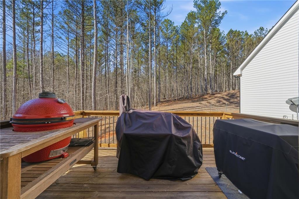 1785 Hubbard Road Marble Hill, GA 30148 - Photo 17 of 50