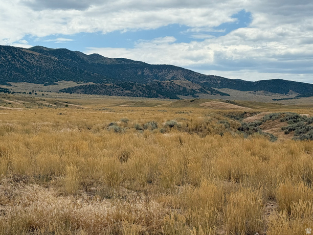 23 Old Dam Road, Unit 23 Levan, UT 84639 - Photo 14 of 17