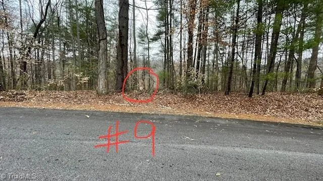 $29,999 | Lot 9 Woods Haven Lane, Stuart, VA 24171
