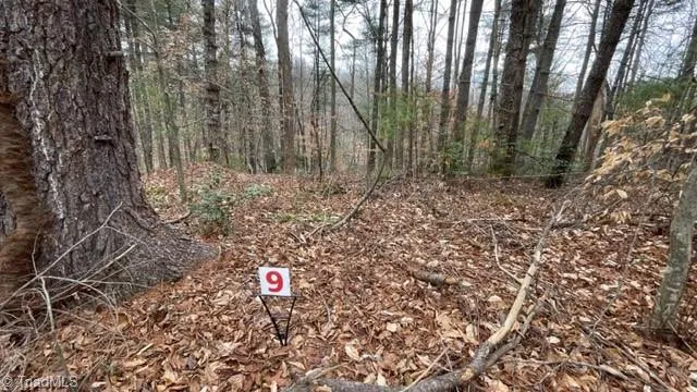 $29,999 | Lot 9 Woods Haven Lane, Stuart, VA 24171