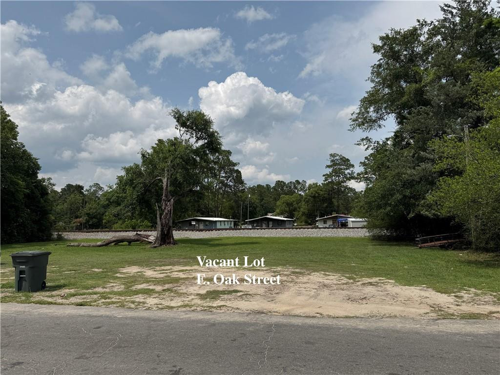 0 East Oak Street Jesup, GA 31546 - Photo 10 of 13 Photo 10
