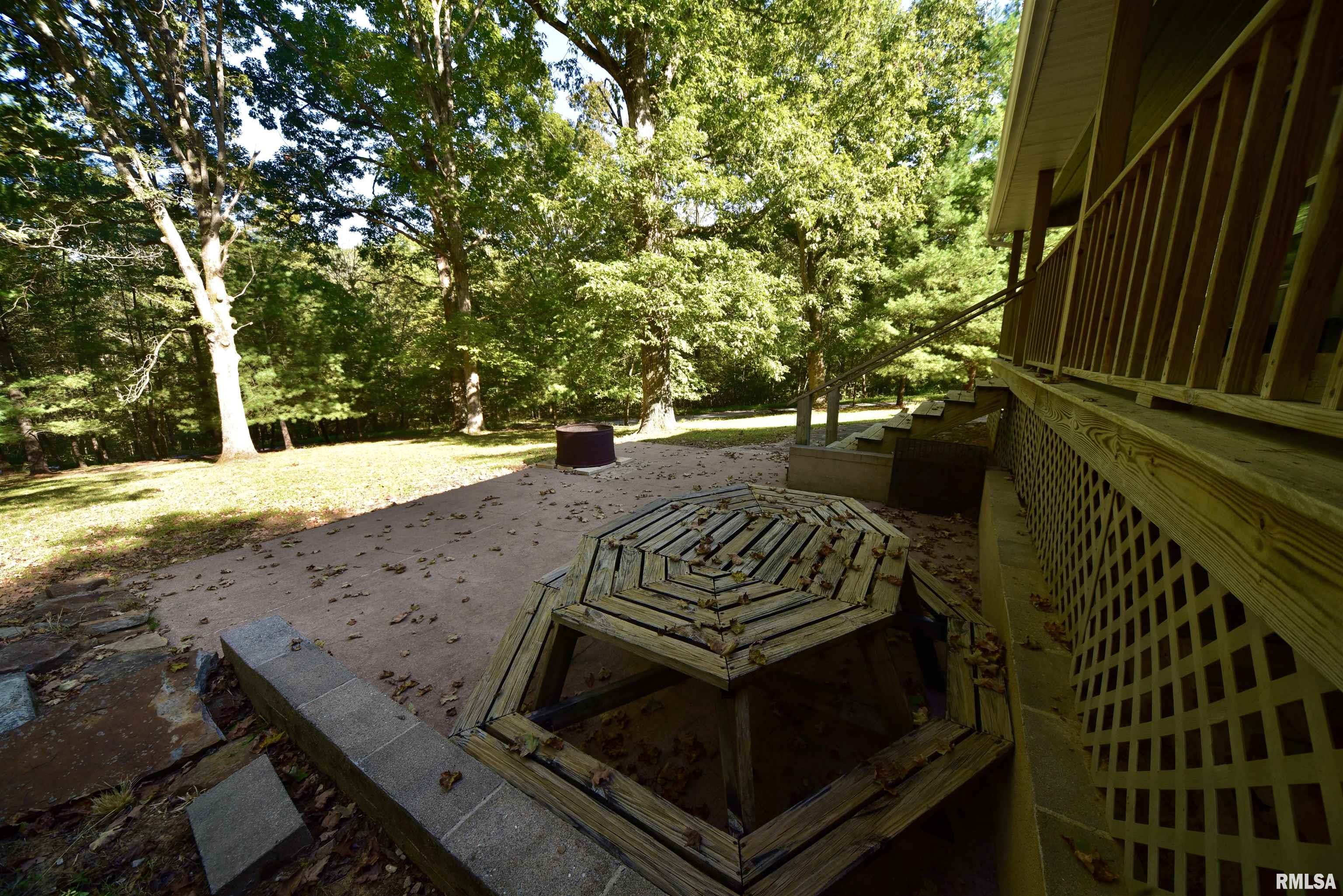 0 Dutton Chapel Road Herod, IL 62947 - Photo 13 of 43