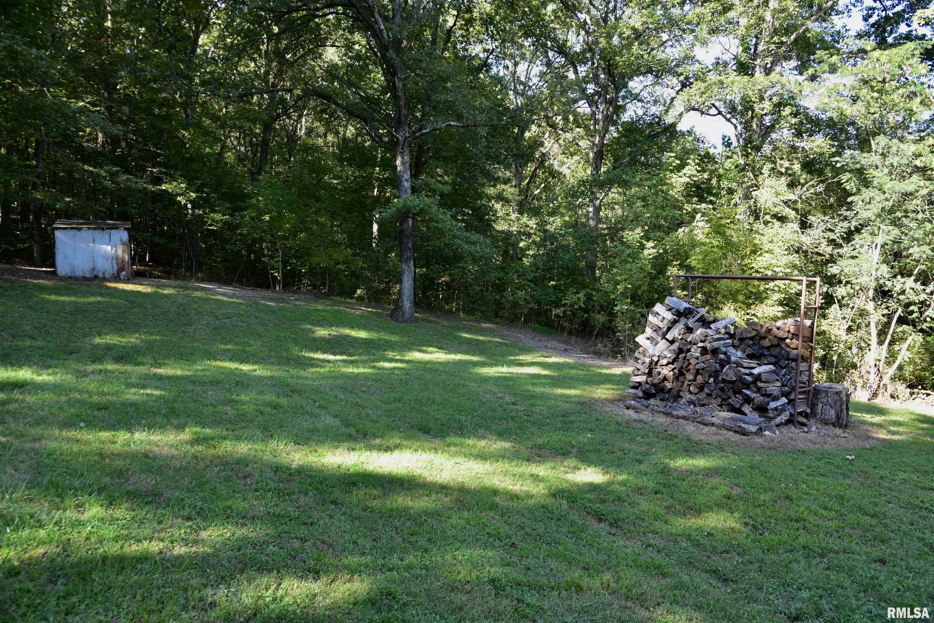 0 Dutton Chapel Road Herod, IL 62947 - Photo 31 of 43